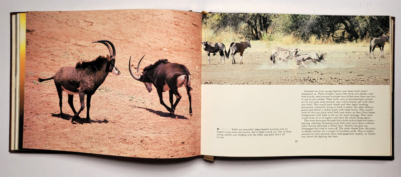 The African Book