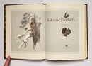 Grouse Feathers