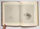 Grouse Feathers