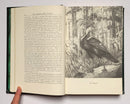 The American Wild Turkey