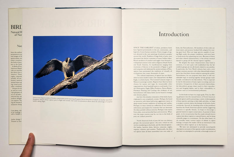 Birds of Prey: Natural History and Conservation of North American Raptors