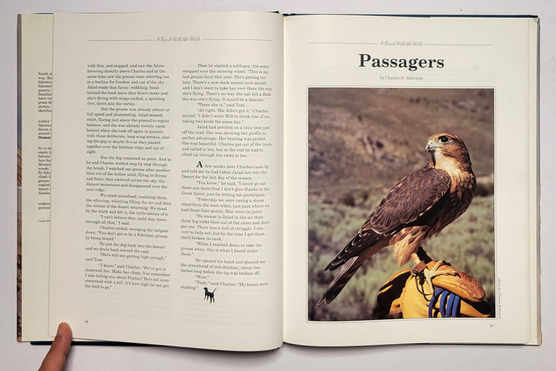 A Bond With The Wild: A Celebration of American Falconry