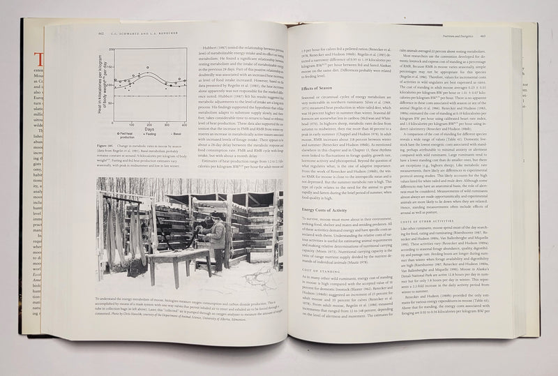 Ecology and Management of the North American Moose