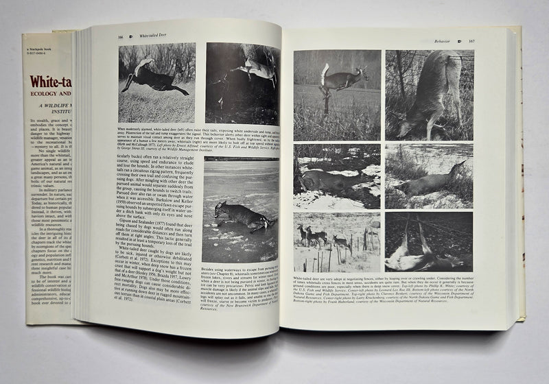 White-tailed Deer: Ecology and Management