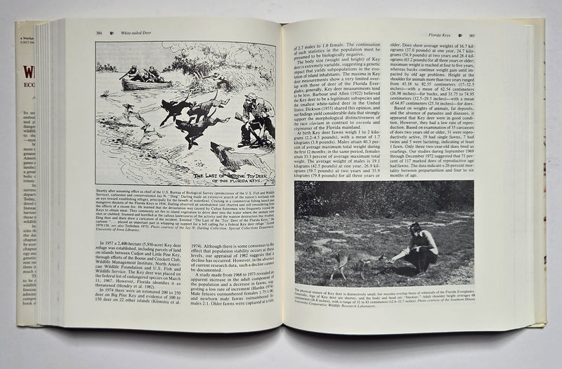 White-tailed Deer: Ecology and Management