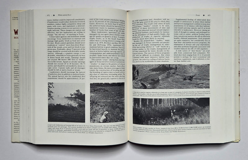 White-tailed Deer: Ecology and Management