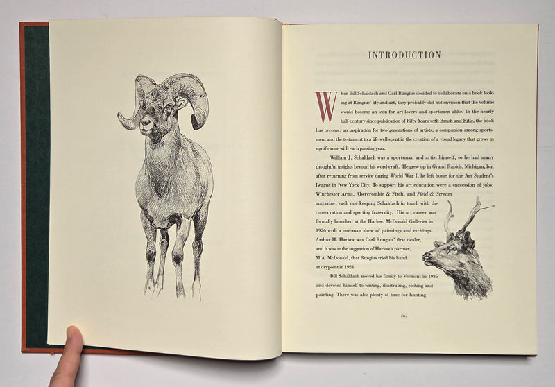 Carl Rungius: Big Game Painter