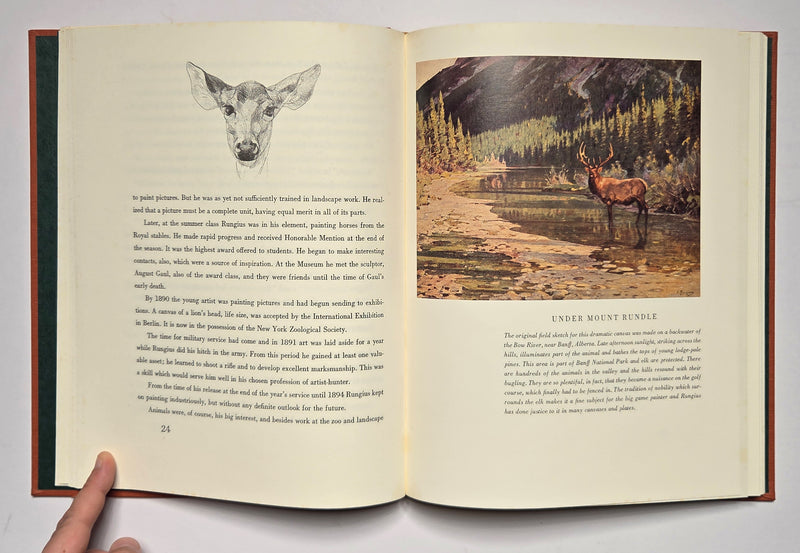 Carl Rungius: Big Game Painter