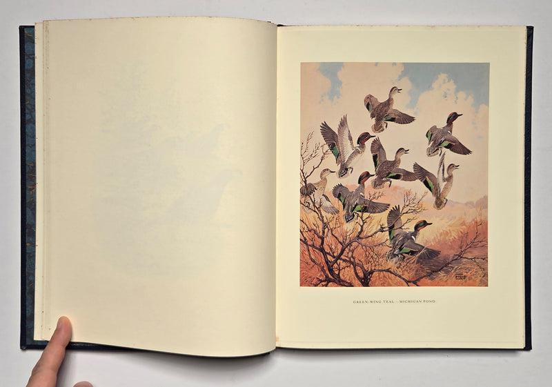 An Artist’s Game Bag