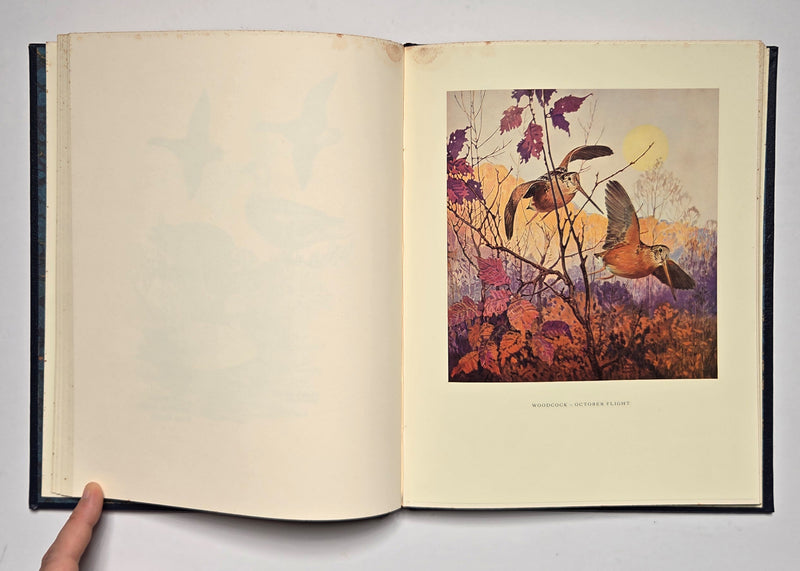 An Artist’s Game Bag