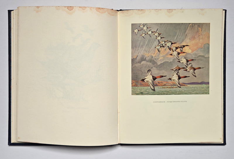 An Artist’s Game Bag