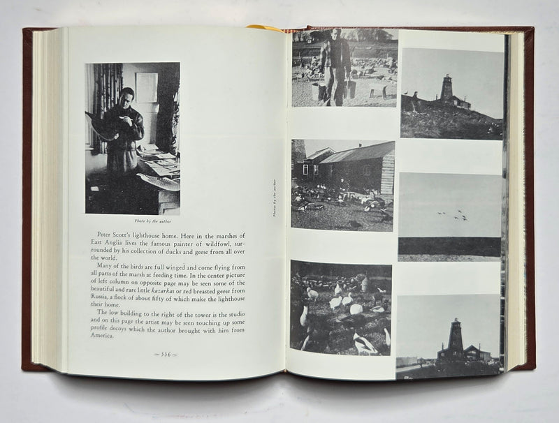 A Book on Duck Shooting