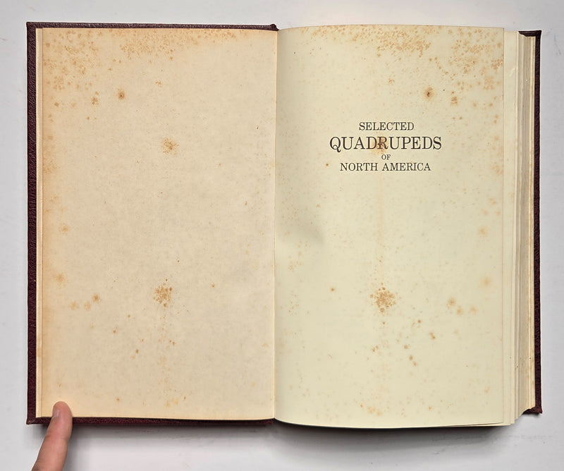 Selected Quadrupeds of North America