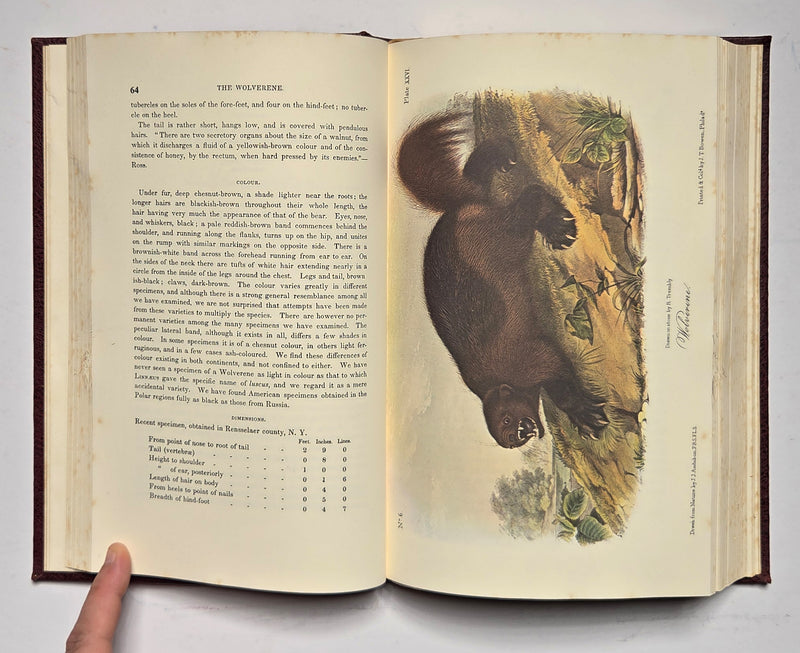 Selected Quadrupeds of North America