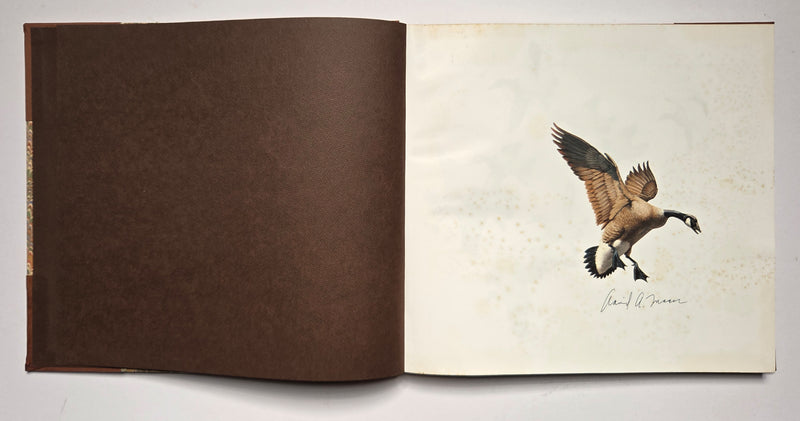 The Wildfowl Art of David Maass; Deluxe Edition