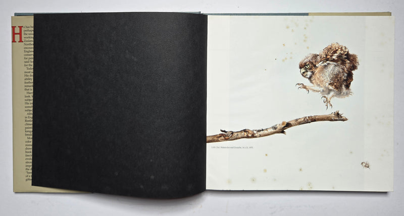 Ray Harris-Ching: Journey of an Artist