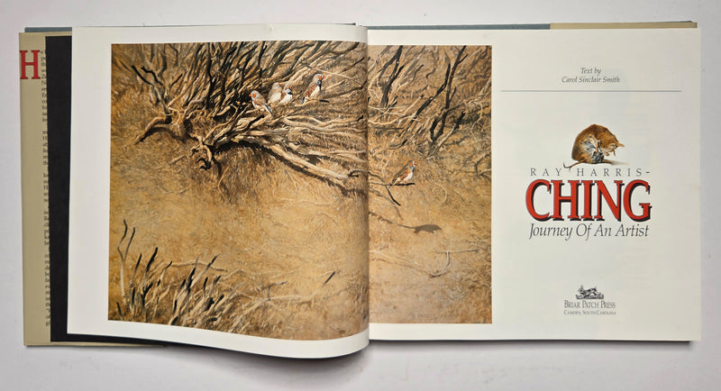 Ray Harris-Ching: Journey of an Artist