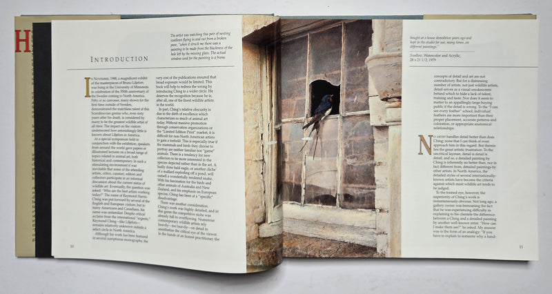 Ray Harris-Ching: Journey of an Artist