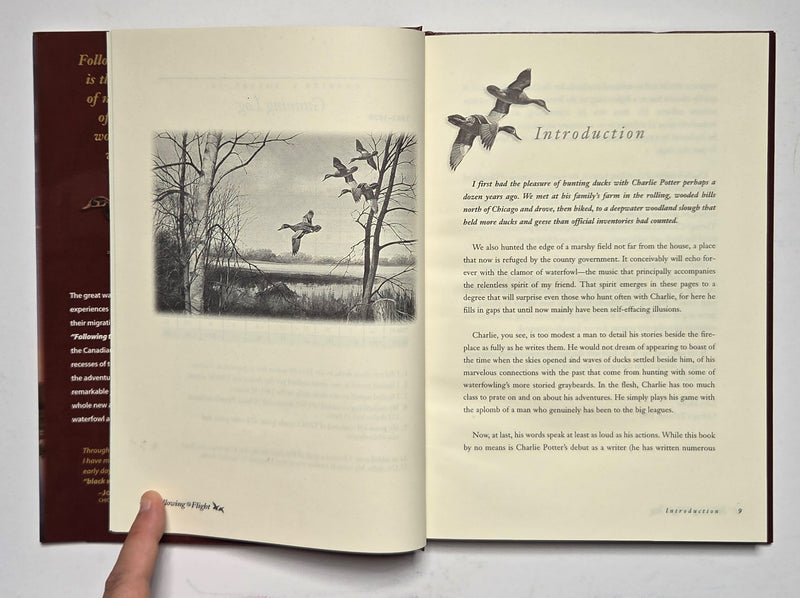 Following the Flight