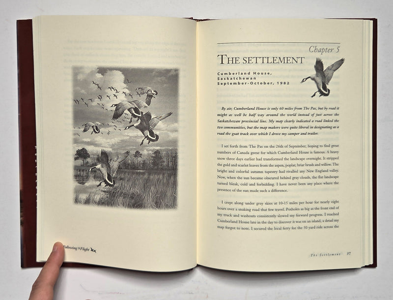 Following the Flight