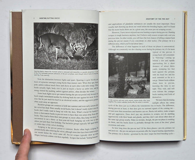 Hunting Rutting Bucks