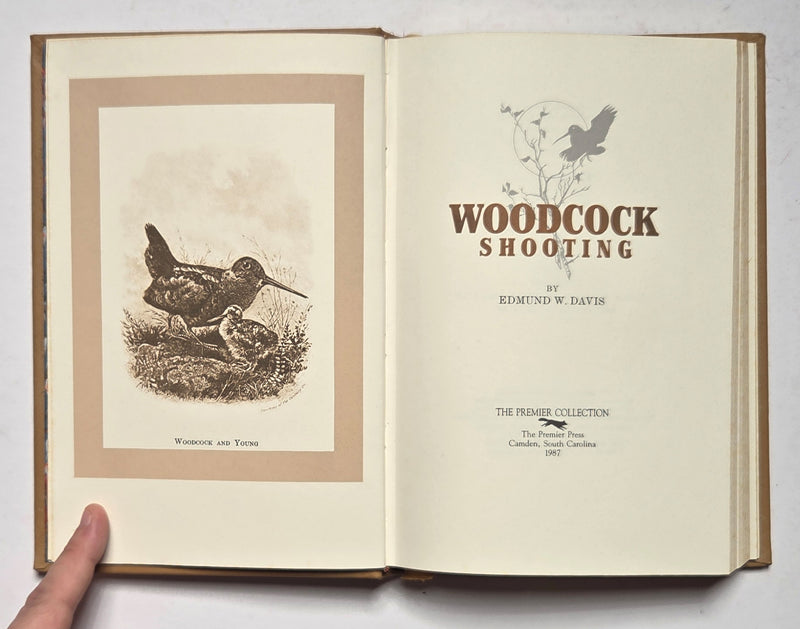 Woodcock Shooting