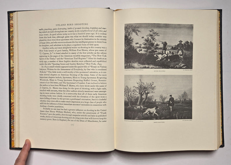 Upland Game Bird Shooting in America