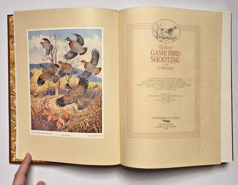 Upland Game Bird Shooting in America