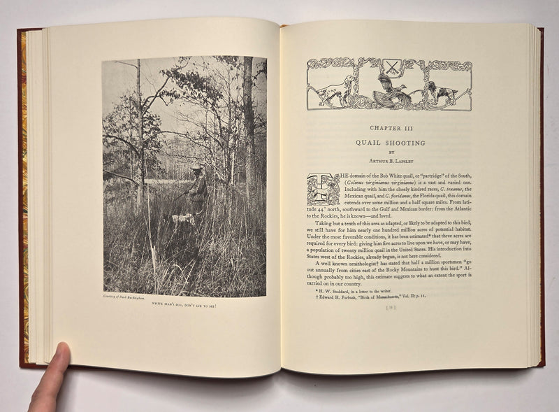 Upland Game Bird Shooting in America