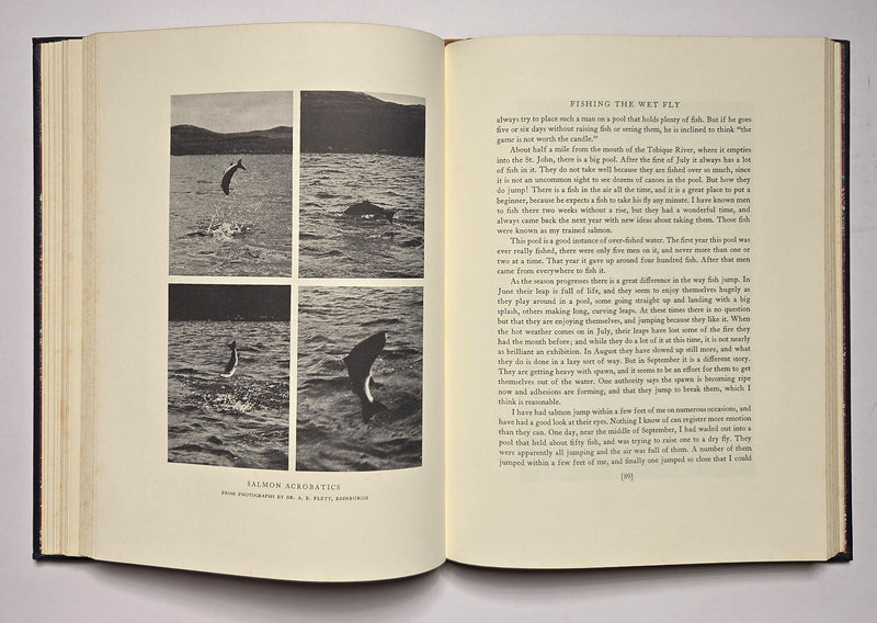 Atlantic Salmon Fishing