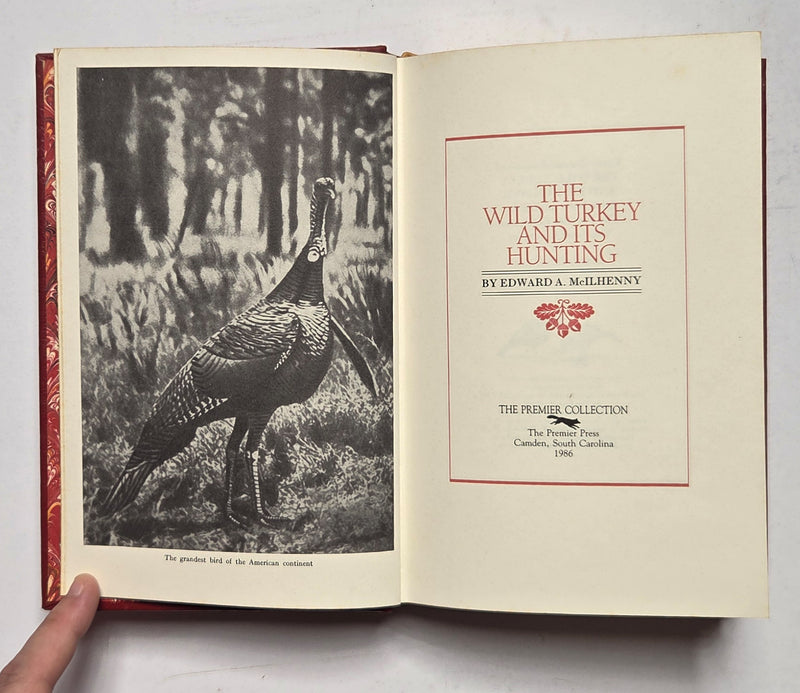 The Wild Turkey and Its Hunting