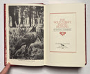 The Wild Turkey and Its Hunting