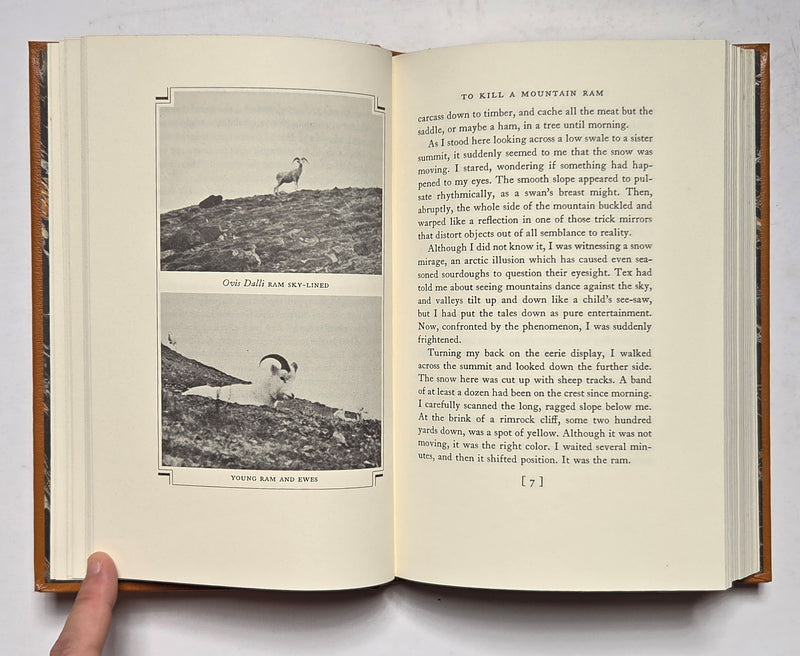 Tales of a Big Game Guide