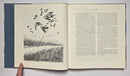 Best Birds, Upland & Shore