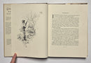 Grouse Feathers & More Grouse Feathers Set
