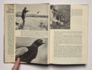 The Experts’ Book of Upland Bird & Waterfowl Hunting