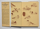 The Duck-Huntingest Gentlemen: A Collection of Waterfowling Stories