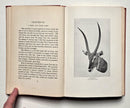 Hunting in British East Africa