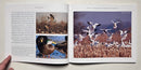 Flyways: A Celebration of Waterfowl and Wetlands