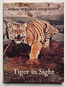 Tiger in Sight