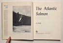 The Atlantic Salmon