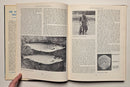The Atlantic Salmon