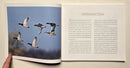 Flyways: A Celebration of Waterfowl and Wetlands