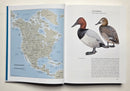 Ducks, Geese, and Swans of North America (2 Volume Set)