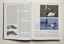 Ducks, Geese, and Swans of North America (2 Volume Set)