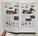 Birds of North America: Eastern Region