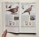 Birds of North America: Eastern Region