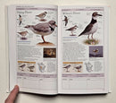Birds of North America: Eastern Region