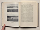 Wildfowling in the Mississippi Flyway
