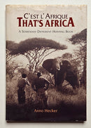 C’est l’Afrique: That’s Africa